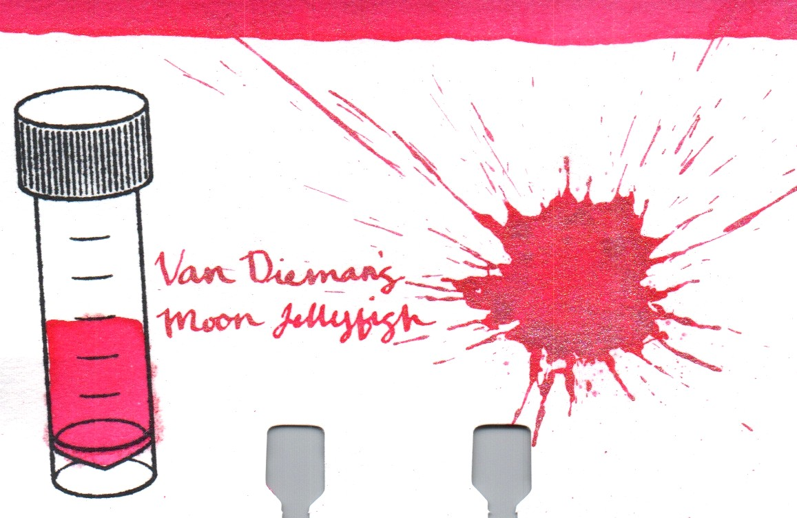 An ink swatch of Van Dieman – Moon Jellyfish
