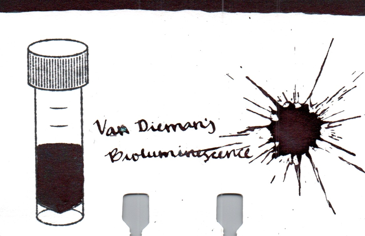 An ink swatch of Van Dieman's – Bioluminescense